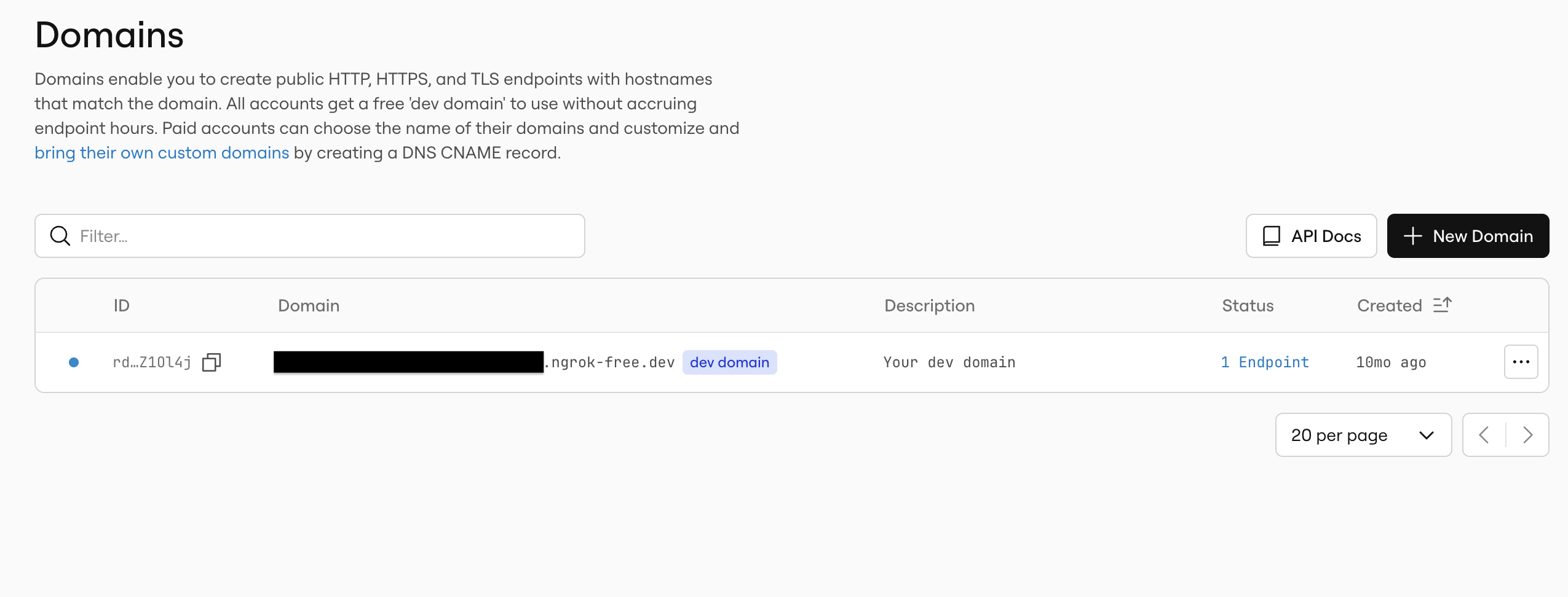The ngrok Domains dashboard showing an automatically assigned Dev Domain